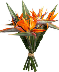 Ανθοπωλειο Νέα Ερυθραια