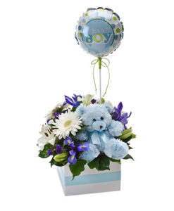 λουλουδια για μαιευτηριο,Λουλούδια για Γέννηση,Μαιευτήρια , Νοσοκομεία στην Αθήνα Λητώ, Μητέρα, Ιασώ, Γαία, Υγεία λουλουδια για νεογεννητο, λουλουδια για γεννητουρια