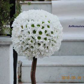 Στολισμός γάμου βασιλικός-bacard