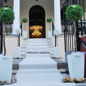 στολισμος γαμου με βασιλικους