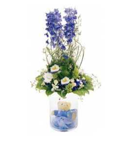 Λουλούδια για Νεογέννητο