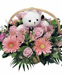 λουλουδια για νεογεννητο,λουλουδια για μαιευτηριο,αποστολή λουλουδιών σε ολα τά Μαιευτήρια