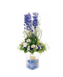 λουλούδια για μαιευτήριο