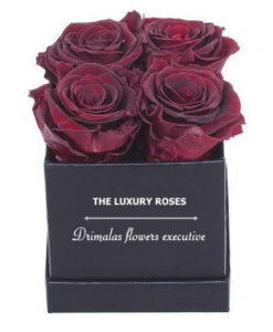 λουλούδια σε κουτιά