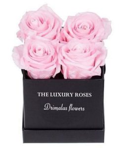 τριανταφυλλα σε κουτι