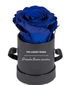 Alternative view of Τριαντάφυλλα σε κουτί αθήνα