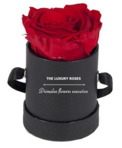 Τριαντάφυλλα σε κουτί αθήνα