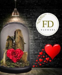 τριαντάφυλλο που ζει για πάντα, forever roses,Τριαντάφυλλα που ζουν για πάντα, αθάνατα τριαντάφυλλα, αιώνια τριαντάφυλλα