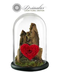 τριαντάφυλλο που ζει για πάντα, forever roses,Τριαντάφυλλα που ζουν για πάντα, αθάνατα τριαντάφυλλα, αιώνια τριαντάφυλλα