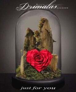 τριαντάφυλλο που ζει για πάντα, forever roses,Τριαντάφυλλα που ζουν για πάντα, αθάνατα τριαντάφυλλα, αιώνια τριαντάφυλλα