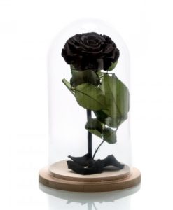 for ever roses,roses in glass, forever rose τιμη, forever rose αθηνα, forever roses θεσσαλονικη, forever roses ελλαδα, forever roses greece, τριανταφυλλα forever roses