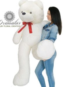 FLOWER BOX, flower box με τριανταφυλλα, forever roses, roses σε κουτι, Αποστολή λουλουδιών στην Ελλάδα, Βελούδινο Κουτί μέ τριαντάφυλλα, κόκκινα τριαντάφυλλα σε κουτί, Κουτί καρδιά με κόκκινα