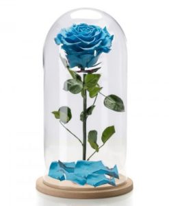 τριανταφυλλα σε κουτι αθηνα,Κουτί με τριαντάφυλλα,λουλούδια σε κουτί, αθηνα, λουλούδια σε κουτιά,τριαντάφυλλα σε κουτί καρδιά αθηνα,τριανταφυλλα forever roses, τριαντάφυλλα για πάντα, τριαντάφυλλα μέσα σε γυαλί