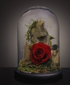 Ανθοπωλειο Νικαια