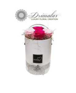 flower box αθηνα, τριανταφυλλα σε κουτι πειραια, τριανταφυλλα σε γυαλα, λουλουδια σε κουτι, flowers in a box, τριανταφυλλα σε κουτι τιμη μαυρα τριανταφυλλα αθηνα τριανταφυλλα σε κουτι αθηνα