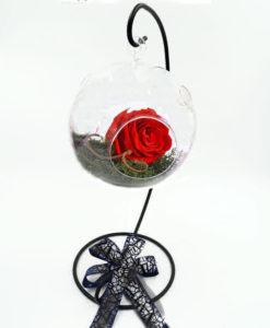 τριανταφυλλα forever roses, τριαντάφυλλα για πάντα, τριαντάφυλλα μέσα σε γυαλί