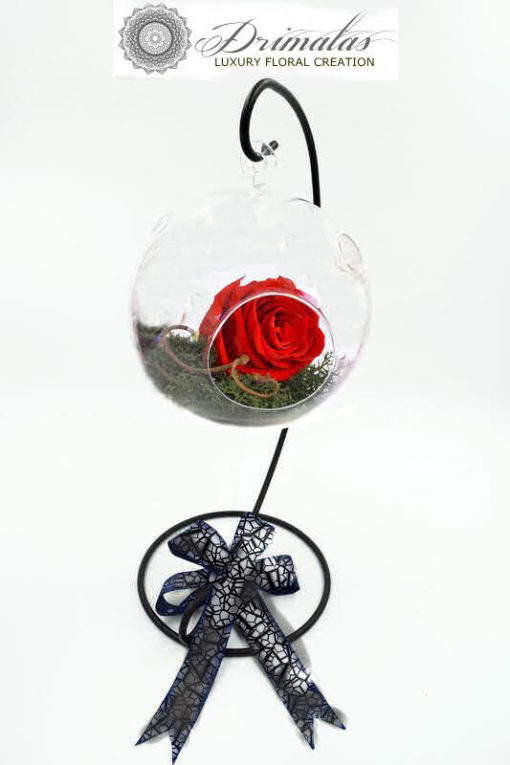 τριανταφυλλα forever roses, τριαντάφυλλα για πάντα, τριαντάφυλλα μέσα σε γυαλί