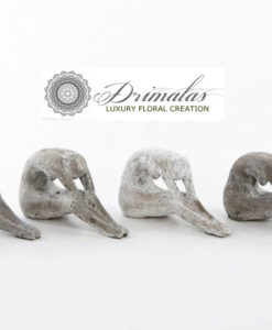 τριανταφυλλα forever roses, τριαντάφυλλα για πάντα, τριαντάφυλλα μέσα σε γυαλί