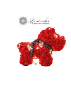 τριανταφυλλο σε γυαλα αθηνα,τριαντάφυλλο που ζει για πάντα, forever roses,Τριαντάφυλλα που ζουν για πάντα, αθάνατα τριαντάφυλλα, αιώνια τριαντάφυλλα, τριαντάφυλλα