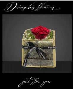 Τριαντάφυλλα που ζουν για Πάντα, τριανταφυλλα που ζουν για παντα skroutz, τριανταφυλλα σε γυαλα