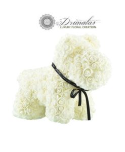 τριανταφυλλο σε γυαλα αθηνα,τριαντάφυλλο που ζει για πάντα, forever roses,Τριαντάφυλλα που ζουν για πάντα, αθάνατα τριαντάφυλλα, αιώνια τριαντάφυλλα, τριαντάφυλλα