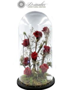 Τριαντάφυλλα για "πάντα"