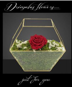 τριανταφυλλα που ζουν για παντα