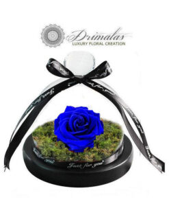 Alternative view of Forever Roses - Τριανταφυλλα για παντα - eternity roses-forever roses