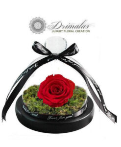 Forever Roses - Τριανταφυλλα για παντα - eternity roses-forever roses