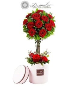 Ανθοδέσμες Μπουκέτα Λουλουδιών - Online Ανθοπωλείο Αποστολή λουλουδιών στην Αθήνα