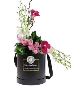 Λουλούδια σε κουτιά-Συνθέσεις Λουλουδιών- Φυτά-Ανθοδέσμες