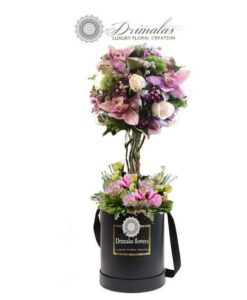 Αποστολη λουλουδιων αθηνα,Λουλουδια σε κουτι,λουλούδια σε κουτιά