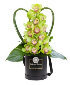 Ανθοπωλειο, αποστολη λουλουδιων, Αποστολή λουλουδιών και φυτών, λουλούδια online