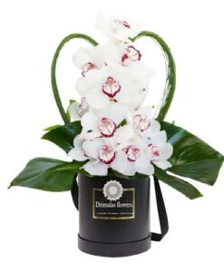 Ανθοπωλειο, αποστολη λουλουδιων, Αποστολή λουλουδιών και φυτών, λουλούδια online