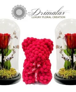 Eternity roses, Forever roses, Τριαντάφυλλα μεγάλης διάρκειας, Τριαντάφυλλα που ζουν για πάντα, Τριανταφυλλα σε γυάλα Τριαντάφυλλα σε κουτί