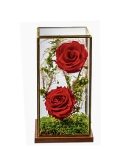 eternity roses-for ever roses , τριαντάφυλλα για πάντα
