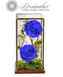 Eternity roses, Forever roses, Τριαντάφυλλα μεγάλης διάρκειας, Τριαντάφυλλα που ζουν για πάντα