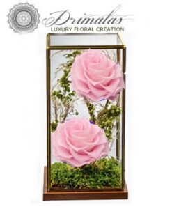 τριανταφυλλα για παντα,τριανταφυλλο που διαρκει για παντα