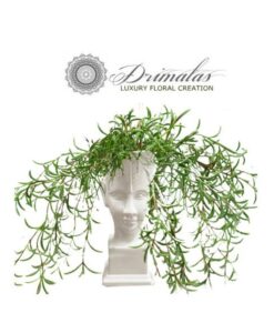 λουλούδια σε κουτί, λουλουδια σε κουτι αθηνα, λουλούδια σε κουτί δώρου, λουλουδια σε κουτι