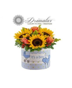 Λουλούδια για Γέννηση, Αποστολή λουλουδιών για γέννηση στο μαιευτήριο, ΙΑΣΩ, ΡΕΑ, ΓΑΙΑ, ΜΗΤΕΡΑ