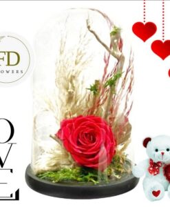 τριαντάφυλλο που ζει για πάντα, forever roses,Τριαντάφυλλα που ζουν για πάντα, αθάνατα τριαντάφυλλα, αιώνια τριαντάφυλλα