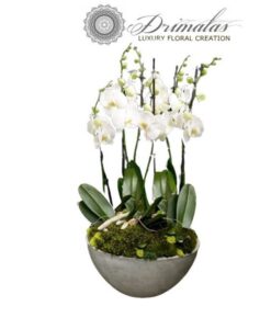 Αποστολη λουλουδιων αθηνα, Αποστολη λουλουδιων αθηνα οικονομικα, Λουλουδια, Ανθοδέσμες