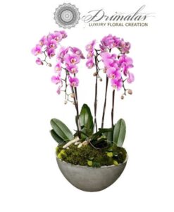 Αποστολη λουλουδιων αθηνα, Αποστολη λουλουδιων αθηνα οικονομικα, Λουλουδια, Ανθοδέσμες