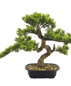 ΔΕΝΤΡΟ ΜΠΟΝΣΑΪ ΠΕΥΚΟ ΣΕ ΓΛΑΣΤΡΑ 26x50x42cm