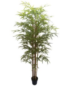 ΔΕΝΤΡΟ ΜΠΑΜΠΟΥ REAL TOUCH ΣΕ ΓΛΑΣΤΡΑ - Y220cm