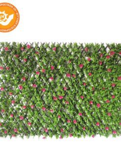 ΠΕΡΓΚΟΛΕΣ-ΔΙΑΧΩΡΙΣΤΙΚΑ