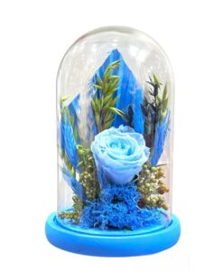 Alternative view of Τα Καλύτερα Ανθοπωλεία της Αθήνας